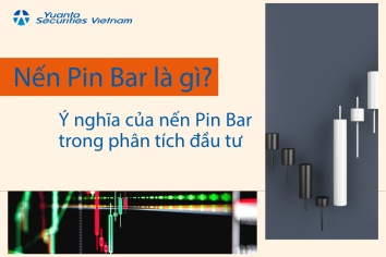 Nến Pin Bar là gì? Ý nghĩa của nến Pin Bar trong phân tích đầu tư