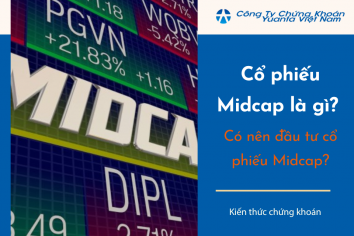 Cổ phiếu Midcap là gì? Có nên đầu tư cổ phiếu Midcap?