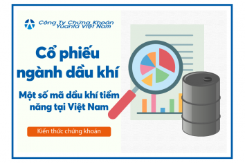 Cổ phiếu ngành dầu khí và một số mã dầu khí tiềm năng tại Việt Nam