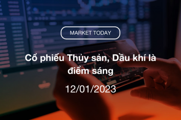 Market Today 12/01/2023: Cổ phiếu Thủy sản, Dầu khí là điểm sáng
