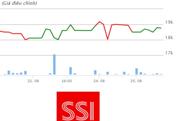 Biểu đồ thể hiện sự biến động của giá cổ phiếu SSIAM VNX50
