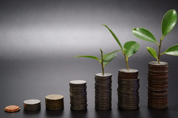 Đầu tư quỹ mỡ giúp cho bạn đa dạng danh mục đầu tư