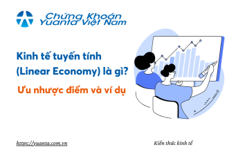 Kinh tế tuyến tính (Linear Economy) là gì? Ưu nhược điểm và ví dụ