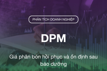 DPM: Giá phân bón hồi phục và ổn định sau bảo dưỡng