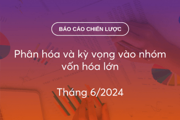 BCCL Tháng 6/2024: Phân hóa và kỳ vọng vào nhóm vốn hóa lớn