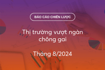 BCCL Tháng 8/2024: Thị trường vượt ngàn chông gai