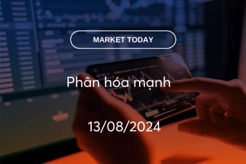 Market Today 13/08/2024: Phân hóa mạnh