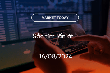 Market Today 16/08/2024: Sắc tím lấn át