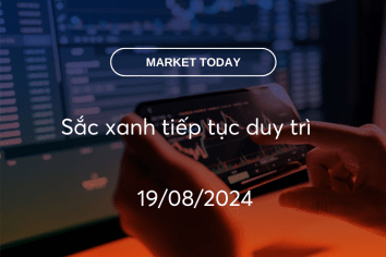 Market Today 19/08/2024: Sắc xanh tiếp tục duy trì