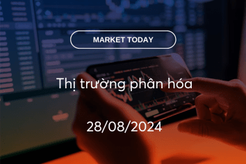 Market Today 28/08/2024: Thị trường phân hóa