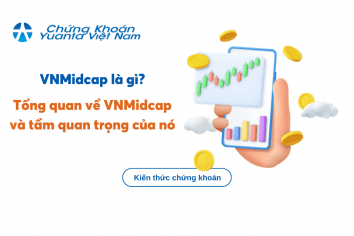 VNMidcap là gì? Tổng quan về VNMidcap và tầm quan trọng của nó