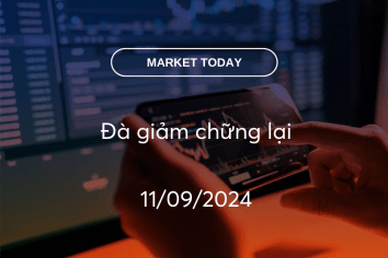 Market Today 11/09/2024: Đà giảm chững lại