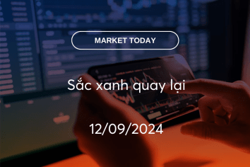 Market Today 12/09/2024: Sắc xanh quay lại