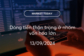 Market Today 13/09/2024: Dòng tiền thận trọng ở nhóm vốn hóa lớn