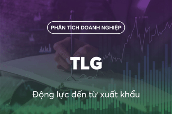 TLG: Động lực đến từ xuất khẩu