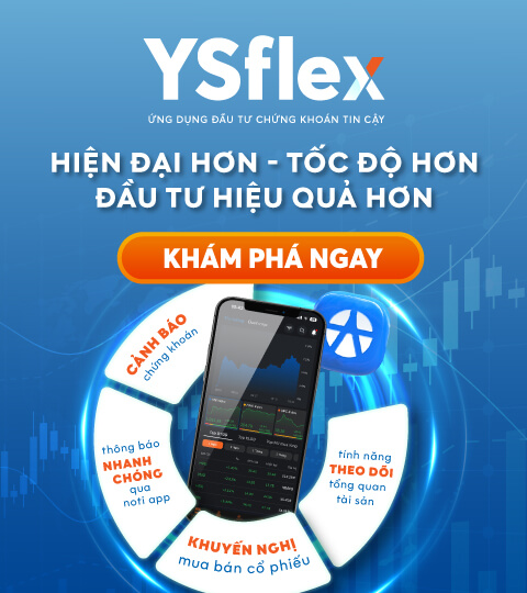 ysflex – ver3