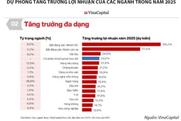 Mùa báo cáo kinh doanh phân hóa, chiến lược đầu tư nào cho giai đoạn mới?