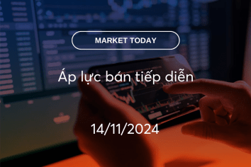 Market Today 14/11/2024: Áp lực bán tiếp diễn