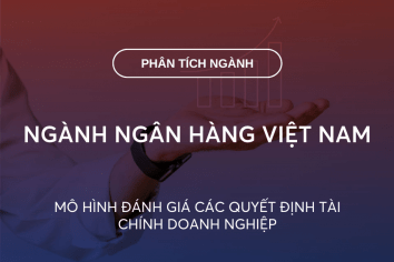 NGÀNH NGÂN HÀNG VIỆT NAM: MÔ HÌNH ĐÁNH GIÁ CÁC QUYẾT ĐỊNH TÀI CHÍNH DOANH NGHIỆP