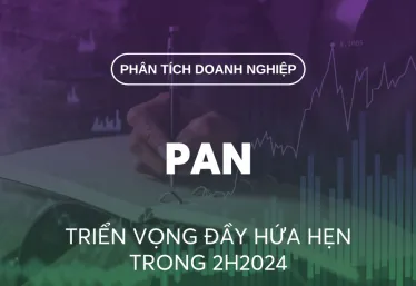 PAN: KẾT QUẢ KINH DOANH Q3/2024 ĐỘT PHÁ [THỊ GIÁ: 23.700; MỤC TIÊU: N/A – KHÔNG ĐÁNH GIÁ]