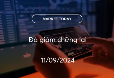 Market Today 11/09/2024: Đà giảm chững lại