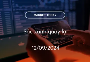 Market Today 12/09/2024: Sắc xanh quay lại